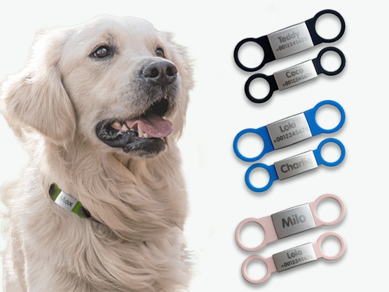 Erkennungsmarke für Hunde und Katzen