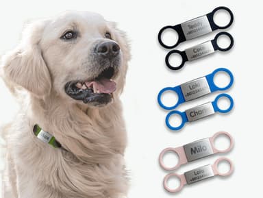 Erkennungsmarke für Hunde und Katzen