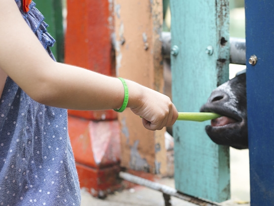 SOS Armband Kind - schmal